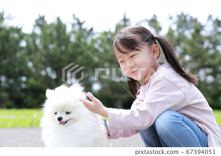 公園裡的女孩和她的狗博美犬同行 67394051