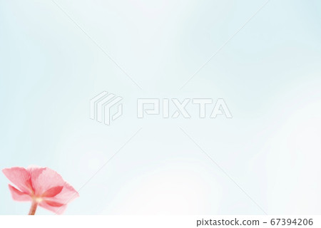 Pink flowers and blue sky [Background blur] 67394206