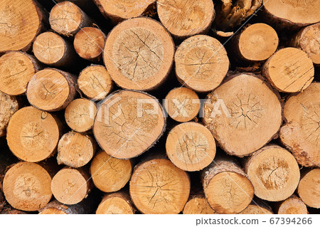 background - ends of stacked logs 67394266