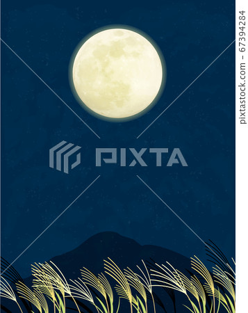 Tsukimi Full moon and Japanese pampas grass landscape illustration 67394284