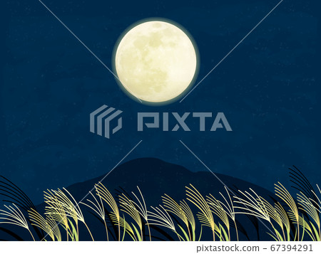 Tsukimi Full moon and Japanese pampas grass landscape illustration 67394291