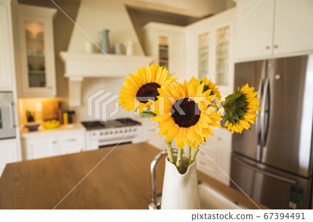 Flower pot in the kitchen 67394491