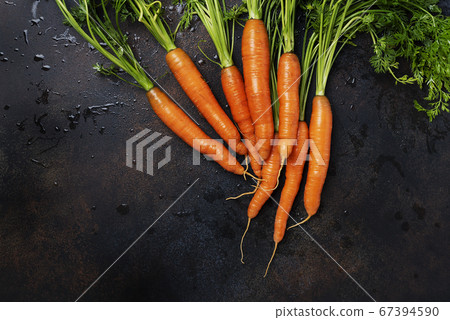 Fresh carrots with green leaves Fresh carrots with green leaves 67394590