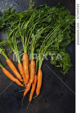 Fresh carrots with green leaves Fresh carrots with green leaves 67394593