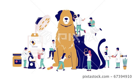 Veterinarian pet checkup, animal treatment, vector flat illustration Veterinarian pet checkup, animal treatment, vector flat illustration 67394910