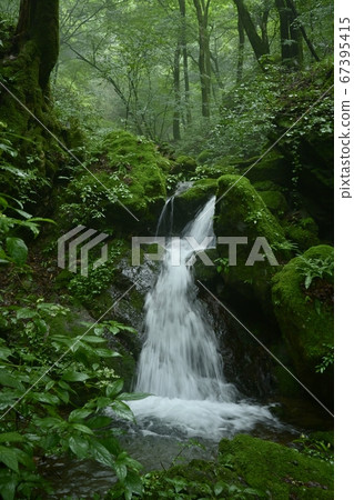 Kirinomiyatake Mountain Rock Garden Mossy Rock 67395415