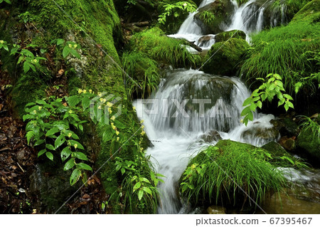 山間溪野宮竹岩石花園玉川溫泉 67395467