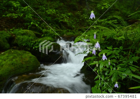 Misono Mitakeyama Rock Garden Sovana in the mountain stream 67395481