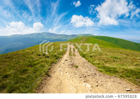 mountain road through grassy meadow. wonderful mountain road through grassy meadow. wonderful 67395828
