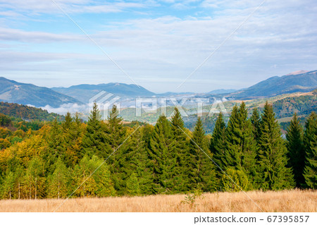 wonderful autumn landscape in evening light. open wonderful autumn landscape in evening light. open 67395857