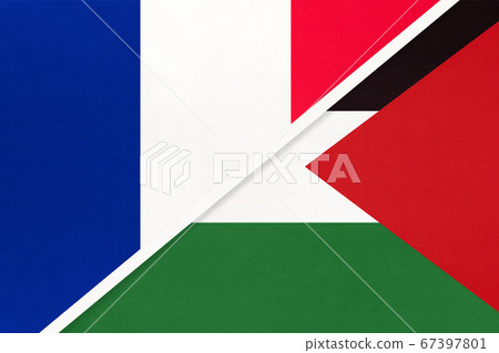 France and Palestine, symbol of national flags 67397801