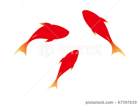Three red goldfish 67397839