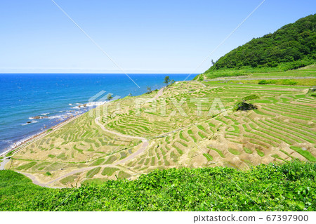 日本石川縣輪島市Shiromai Senmaida 日本石川縣輪島市Shiromai Senmaida 67397900