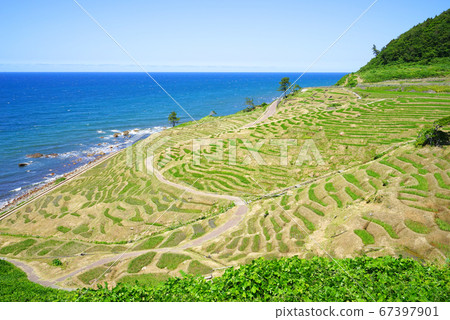 Shiromai Senmaida, Wajima City, Ishikawa Prefecture, Japan Shiromai Senmaida, Wajima City, Ishikawa Prefecture, Japan 67397901