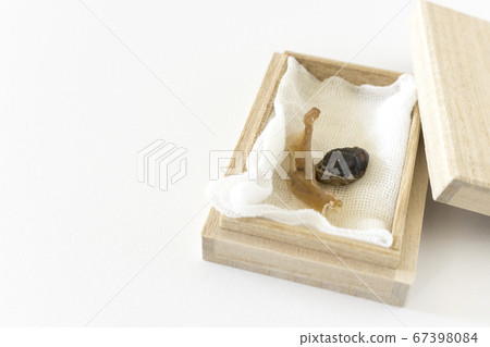 Umbilical cord in a wooden box Umbilical cord in a wooden box 67398084