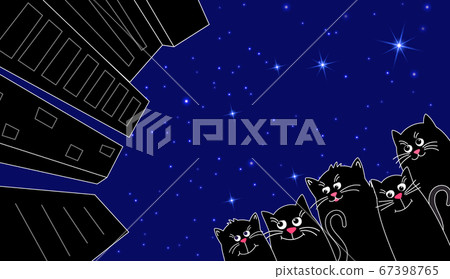 A pack of cute black cats in the city. City against the starry night sky. A pack of cute black cats in the city. City against the starry night sky. 67398765