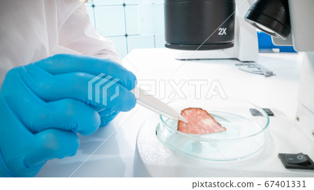 Inspection of meat and fish quality in the food 67401331