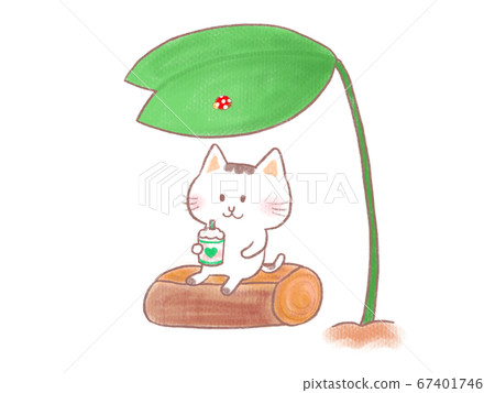 During break During break 67401746