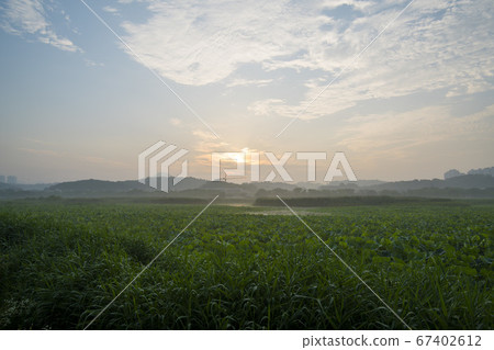 Hwarang Lake, Ansan, Gyeonggi-do 67402612