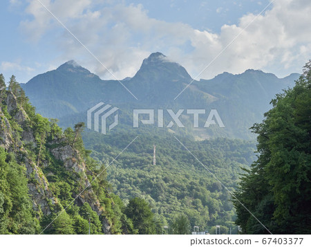Steep cliffs with pines growing on them. 67403377