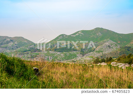 初夏柔和的綠色和綠色的平尾台[福岡縣] 67405823