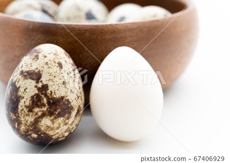 Quail egg isolated on white background 67406929