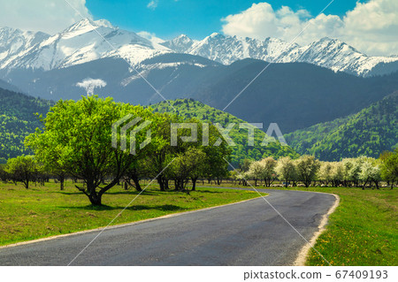 Splendid spring alpine landscape with blossoming orchard and snowy mountains Splendid spring alpine landscape with blossoming orchard and snowy mountains 67409193