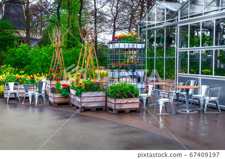 Colorful tulips and spring flowers in the spectacular garden, Netherlands Colorful tulips and spring flowers in the spectacular garden, Netherlands 67409197