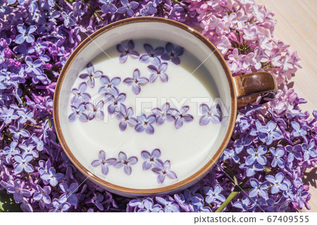 Cup with milk and small purple lilac flowers Cup with milk and small purple lilac flowers 67409555