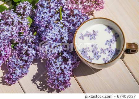 Cup with milk and small purple lilac flowers Cup with milk and small purple lilac flowers 67409557