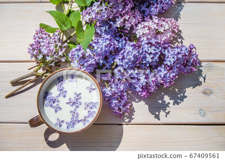Cup with milk and small purple lilac flowers Cup with milk and small purple lilac flowers 67409561