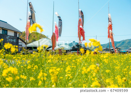 鯉魚飄帶Dusunday的節日可能是晴天 67409599