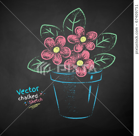 Chalk drawn illustration of flower in pot Chalk drawn illustration of flower in pot 67409751