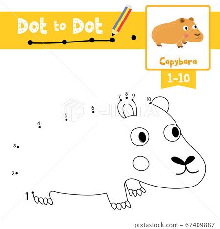 Dot to dot educational game and Coloring book Capybara animal cartoon character vector illustration 67409887