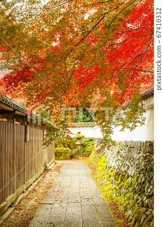 麒麟附有秋葉聞名的地方，京都龜岡的旅遊勝地熊山神社和與光秀光秀有關的地方 67410312