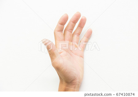 Octopus in a rugged male hand Octopus in a rugged male hand 67410874