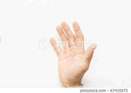 Octopus in a rugged male hand 67410875