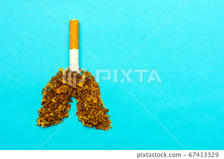 World No Tobacco Day. Concept of healthy lifestyles without cigarettes on the blue background. Lungs in the form of tobacco from cigarettes. 67413329