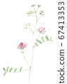 Wildflower in watercolor 67413353