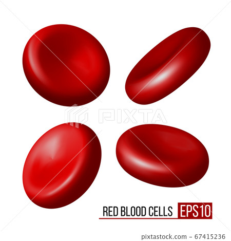 Red blood cells. Set of erythrocytes in various positions isolated on a white background. 67415236