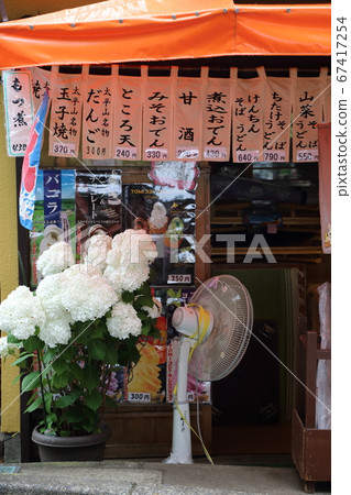 A white hydrangea was blooming at a shop in Kenshinpei 67417254