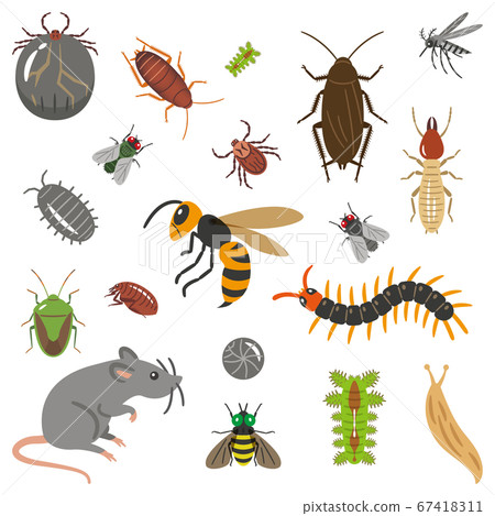 害蟲插圖集 67418311