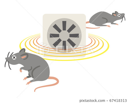 不喜歡超聲波的老鼠 67418313