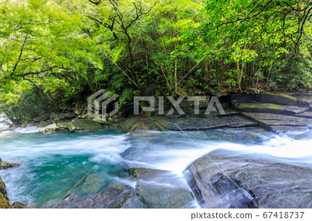 Fresh green Tsugune drop waterfall (after heavy rain) [Saikai City, Nagasaki Prefecture] 67418737