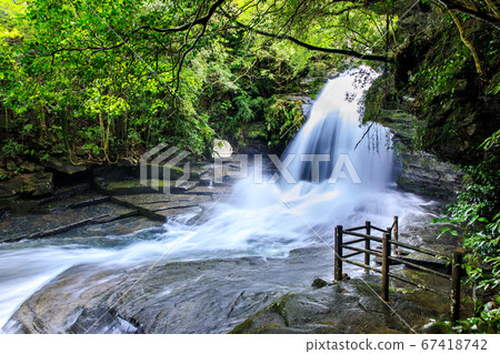 Fresh green Tsugune drop waterfall (after heavy rain) [Saikai City, Nagasaki Prefecture] 67418742