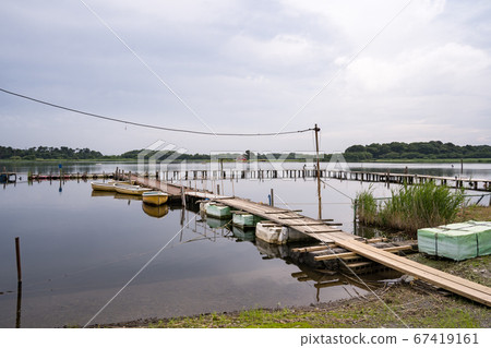 Scenery of a swamp with a pier, Tataranuma 2020, Tatebayashi City, Gunma Prefecture Scenery of a swamp with a pier, Tataranuma 2020, Tatebayashi City, Gunma Prefecture 67419161