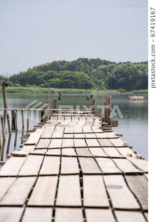 群馬縣立林市Tataranuma 2020，帶碼頭的沼澤風景 67419167