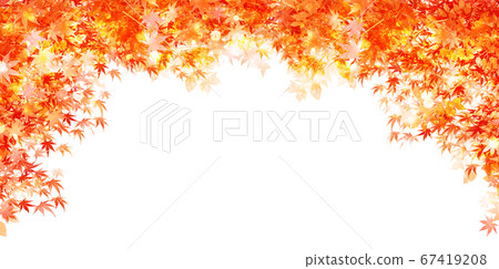 Autumn leaves maple autumn background Autumn leaves maple autumn background 67419208