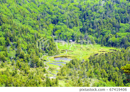 新鮮的綠色七八池 新鮮的綠色七八池 67419406