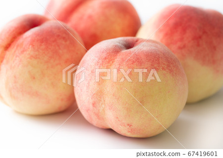 桃子（山梨縣白町） 67419601